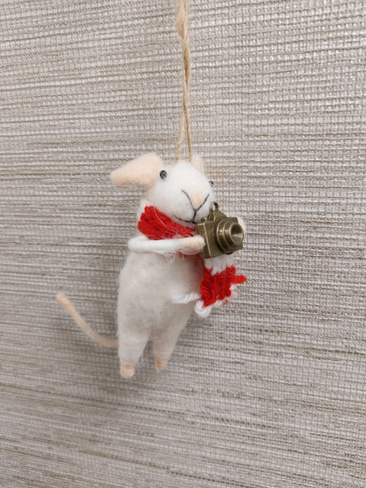 Mouse Photographer felt